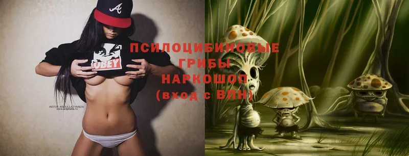 закладки  Анадырь  Псилоцибиновые грибы Magic Shrooms 